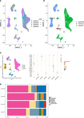 Immunosuppressive environment in response to androgen deprivation treatment in prostate cancer